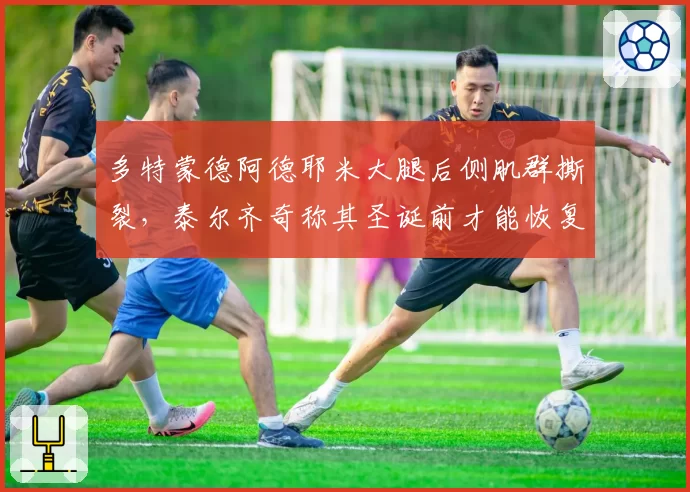 多特蒙德阿德耶米大腿后侧肌群撕裂，泰尔齐奇称其圣诞前才能恢复团队训练