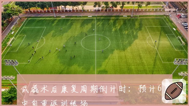 武磊术后康复周期倒计时：预计6月中旬重返训练场
