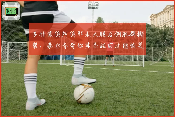 多特蒙德阿德耶米大腿后侧肌群撕裂，泰尔齐奇称其圣诞前才能恢复团队训练