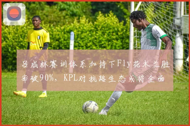 吕成林赛训体系加持下Fly花木兰胜率破90%，KPL对抗路生态或将全面洗牌