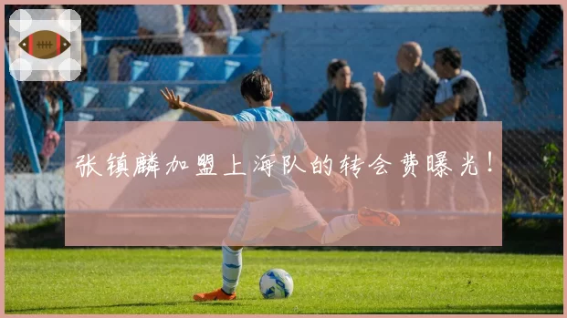 张镇麟加盟上海队的转会费曝光！