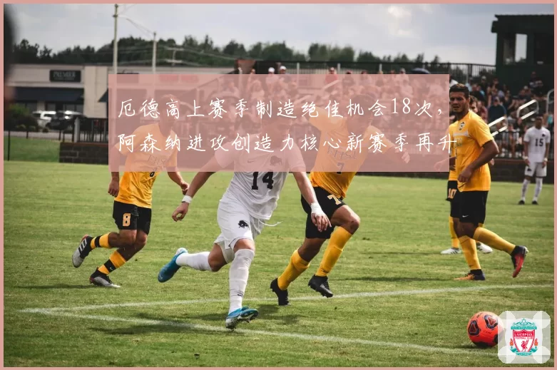 厄德高上赛季制造绝佳机会18次，阿森纳进攻创造力核心新赛季再升级？