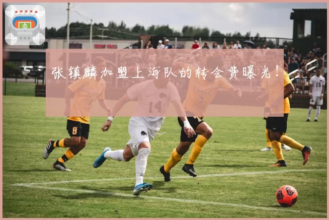 张镇麟加盟上海队的转会费曝光！