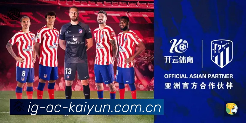 开云登录服务价值